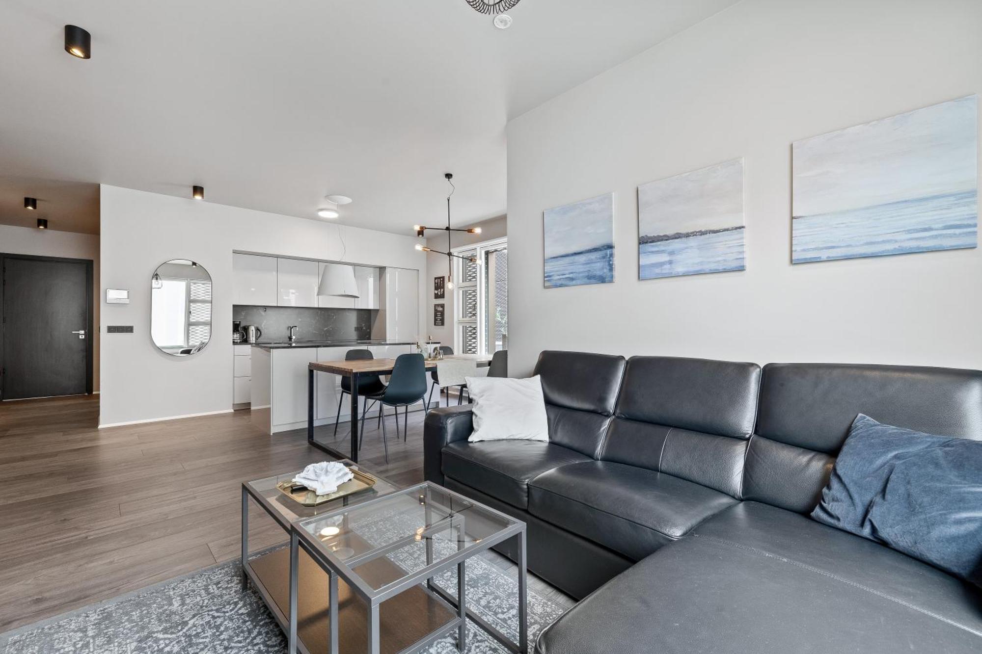 Vibrant Hafnatorg I Spacious With Expansive Garage * Reykjavik